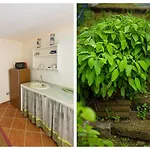 Apartment Panorama Nest