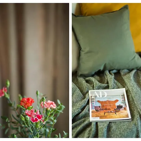 Panorama Nest Apartment