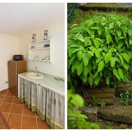 Apartment Panorama Nest